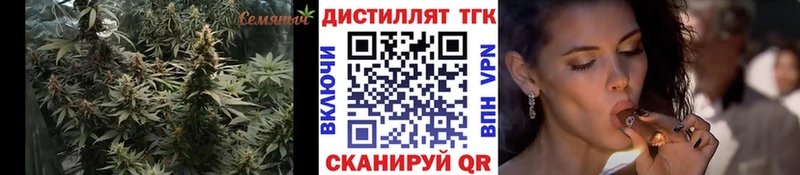 Дистиллят ТГК Wax  Заполярный 