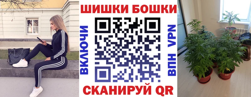 купить  цена  Заполярный  Конопля Amnesia 